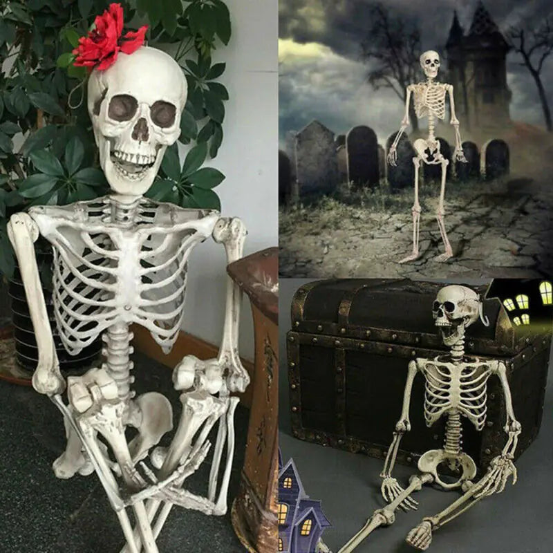 Realistic Skeleton Model